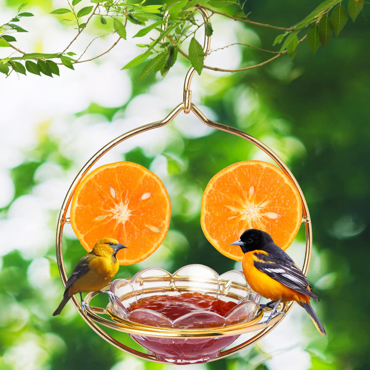 Jealoeur Oriole Feeder accommodates orange halves, jelly, nectar, and mealworms