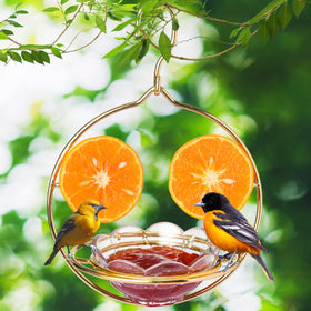 Jealoeur Oriole Feeder accommodates orange halves, jelly, nectar, and mealworms