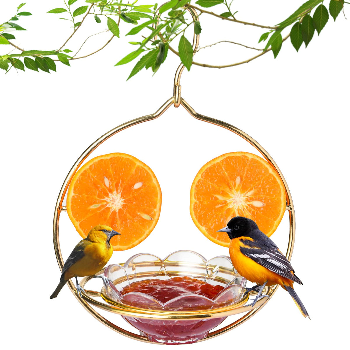 Jealoeur Oriole Feeder outdoors hanging entices orioles for backyard birdwatching