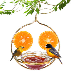 Jealoeur Oriole Feeder outdoors hanging entices orioles for backyard birdwatching