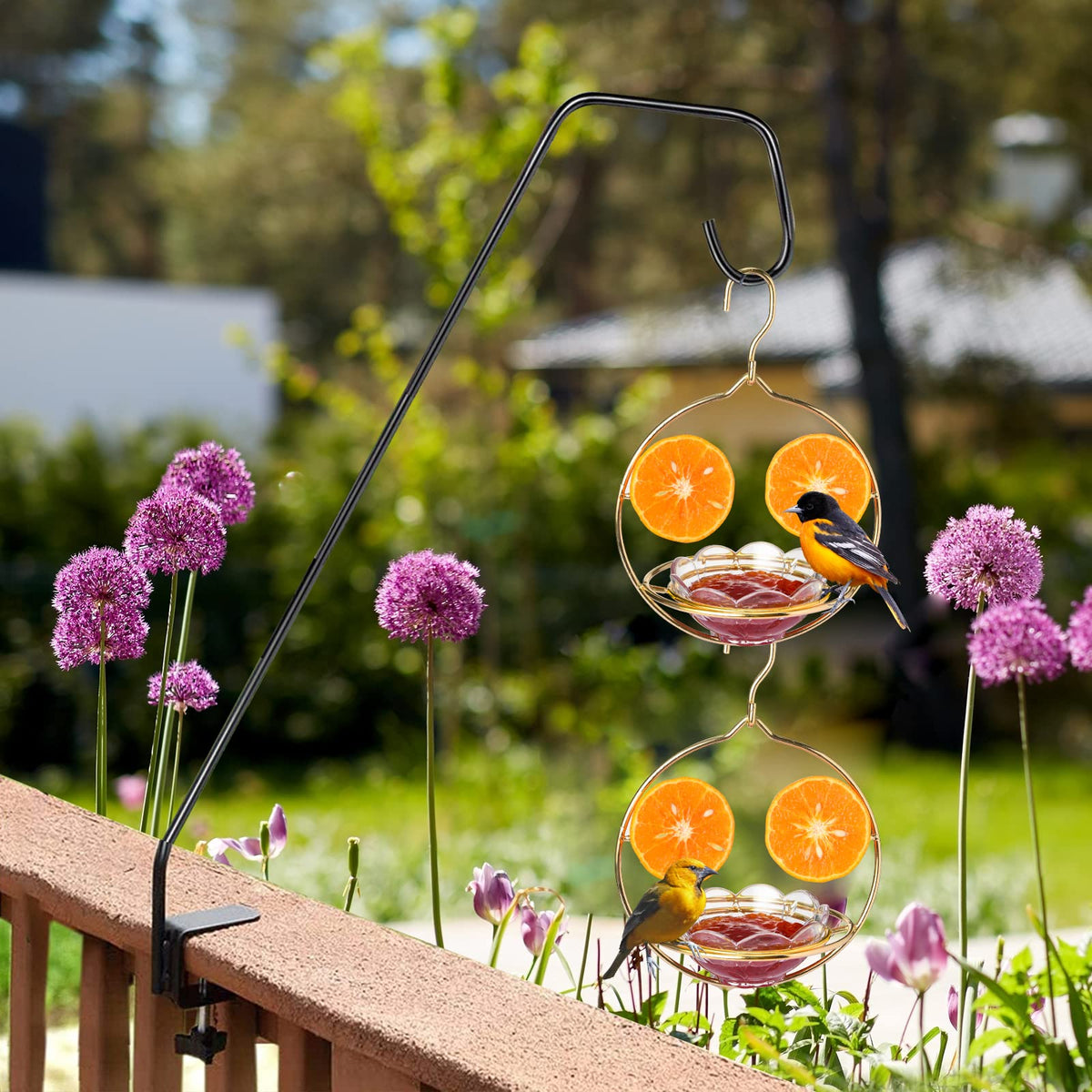 Jealoeur Oriole Feeder transparent plate for easy food monitoring