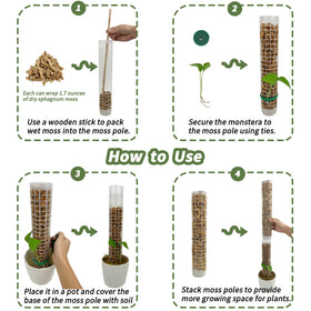 Jegu moss pole assembly enabling quick, mess-free setup for climbing plants