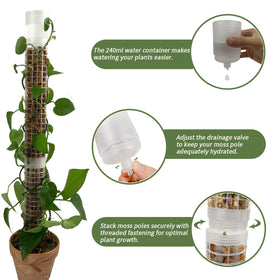 Jegu moss pole mesh structure promotes robust aerial root attachment