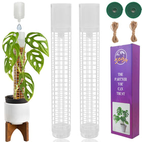Jegu self-watering moss pole with top cup for Monstera hydration