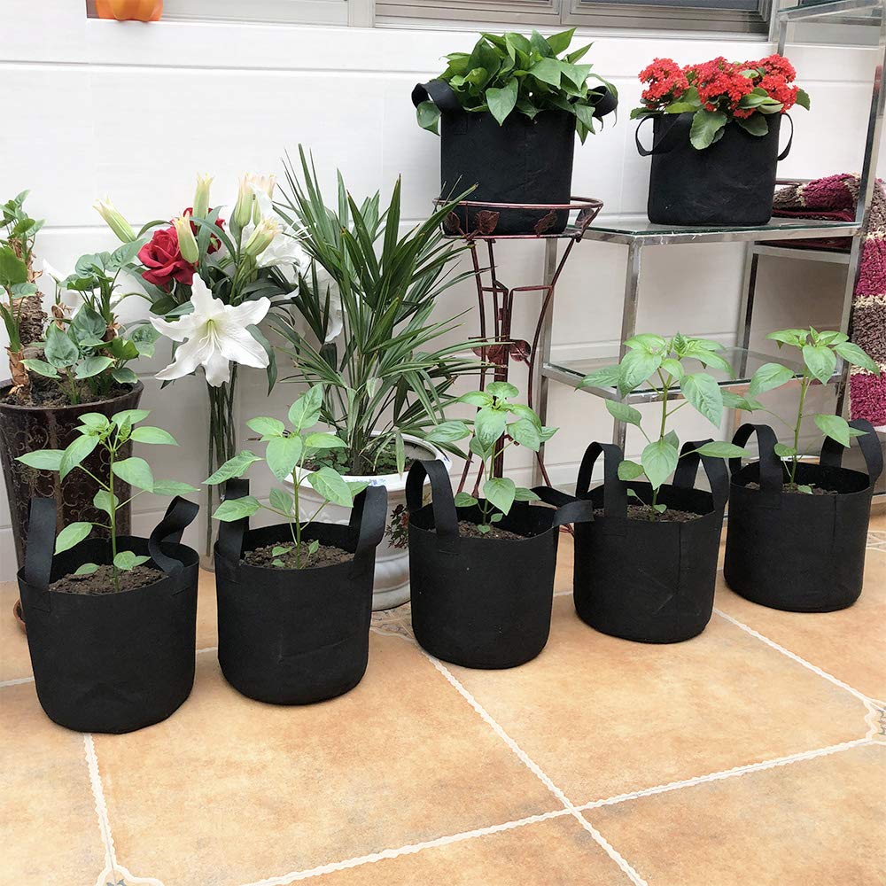 JERIA grow bag with 16-inch diameter and 12-inch height for root space.