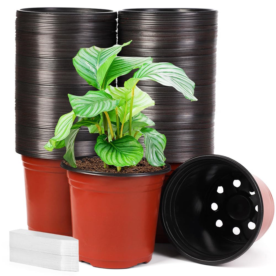 JERIA 200-pack 6-inch nursery pots for seed starting and transplanting.
