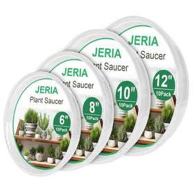 JERIA 6-inch clear plant saucer with raised edge for indoor pots.