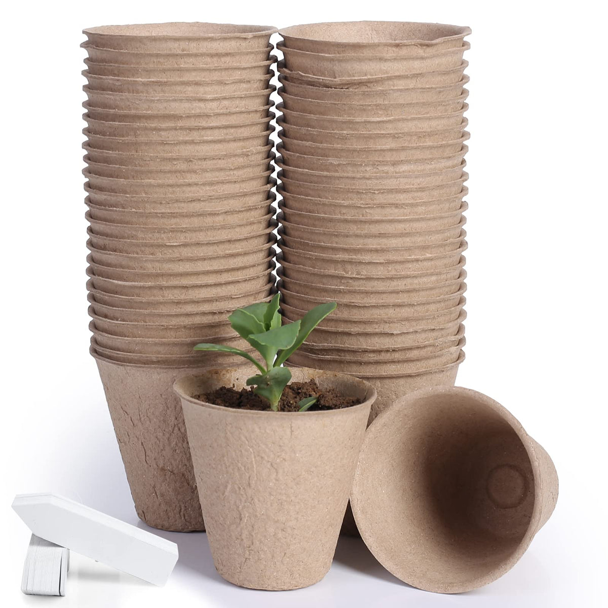JERIA 50-pack peat pots for seedling setup, ideal for early plant starts.