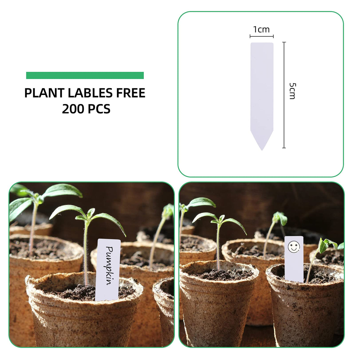 JERIA biodegradable seed starter pots, soil-friendly and eco-conscious choice.