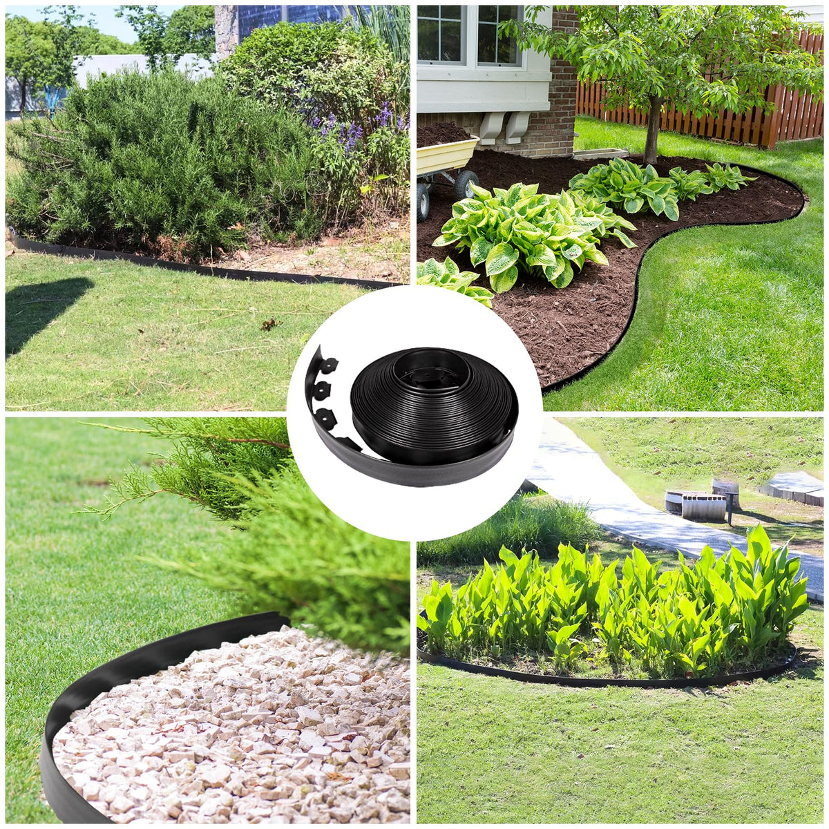 JERIA suitable for borders, paths, and planters in outdoor spaces