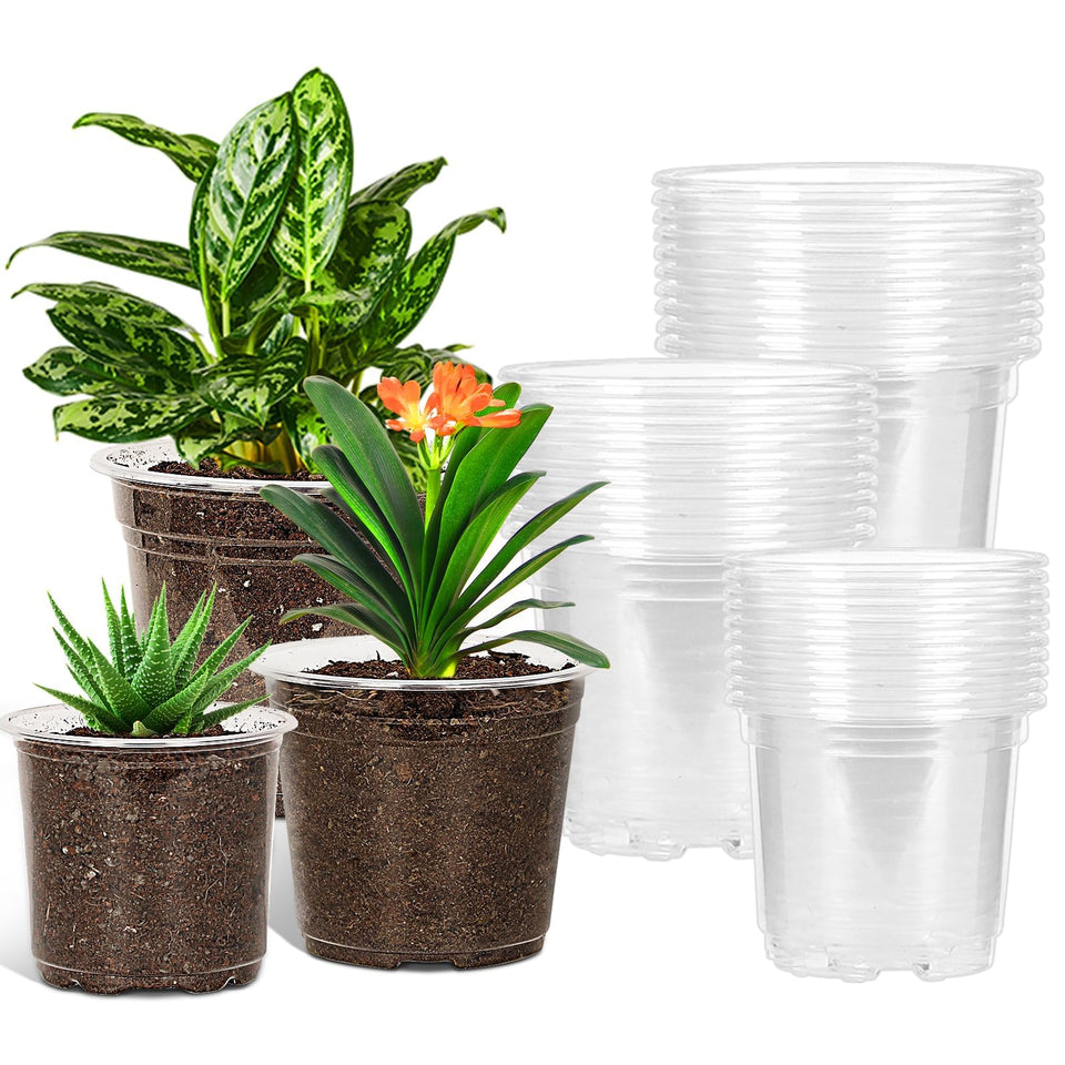 JERIA clear nursery pot 5-inch for viewing roots and controlled drainage.