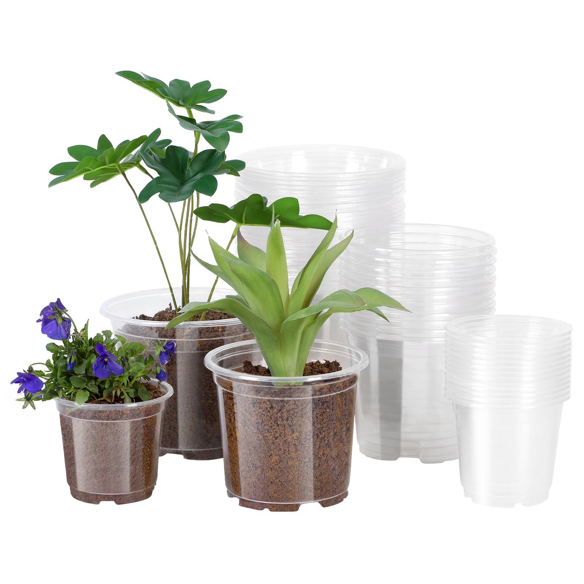 JERIA clear nursery pot 6-inch with drainage holes shows root growth for seed starting.