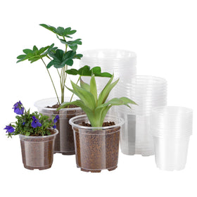 JERIA clear nursery pot 6-inch with drainage holes shows root growth for seed starting.