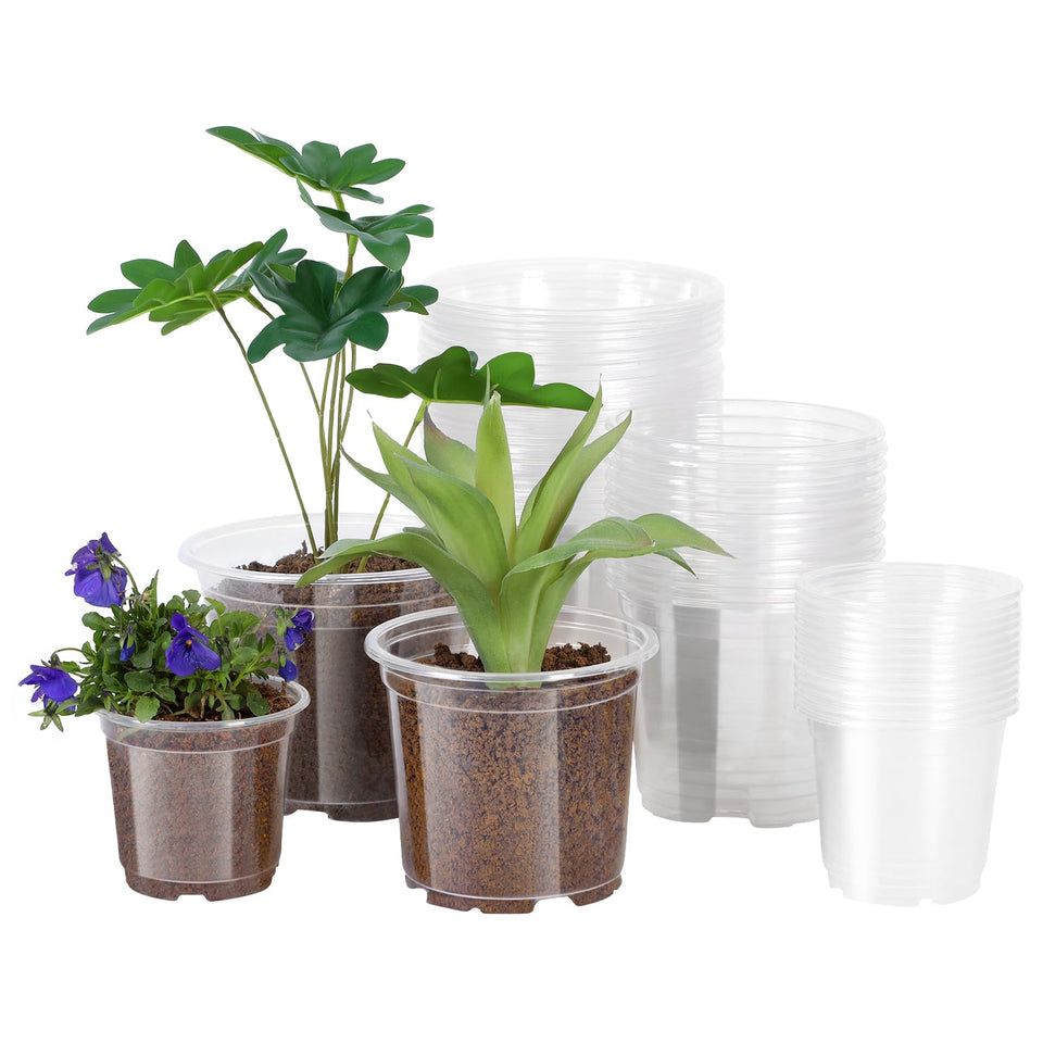 JERIA clear nursery pot 6-inch with drainage holes shows root growth for seed starting.