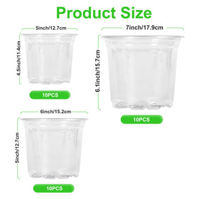 JERIA clear nursery pot 6-inch with drainage holes for healthy watering.