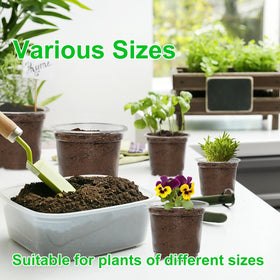 JERIA clear nursery pot root-view design helps planning repotting confidently.