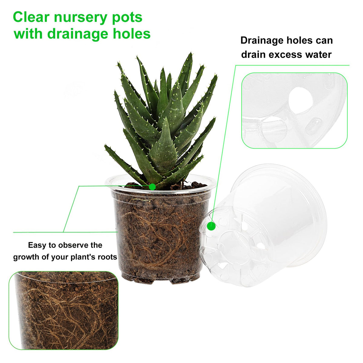 JERIA pot with drainage holes promoting proper moisture management.