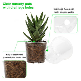 JERIA pot with drainage holes promoting proper moisture management.