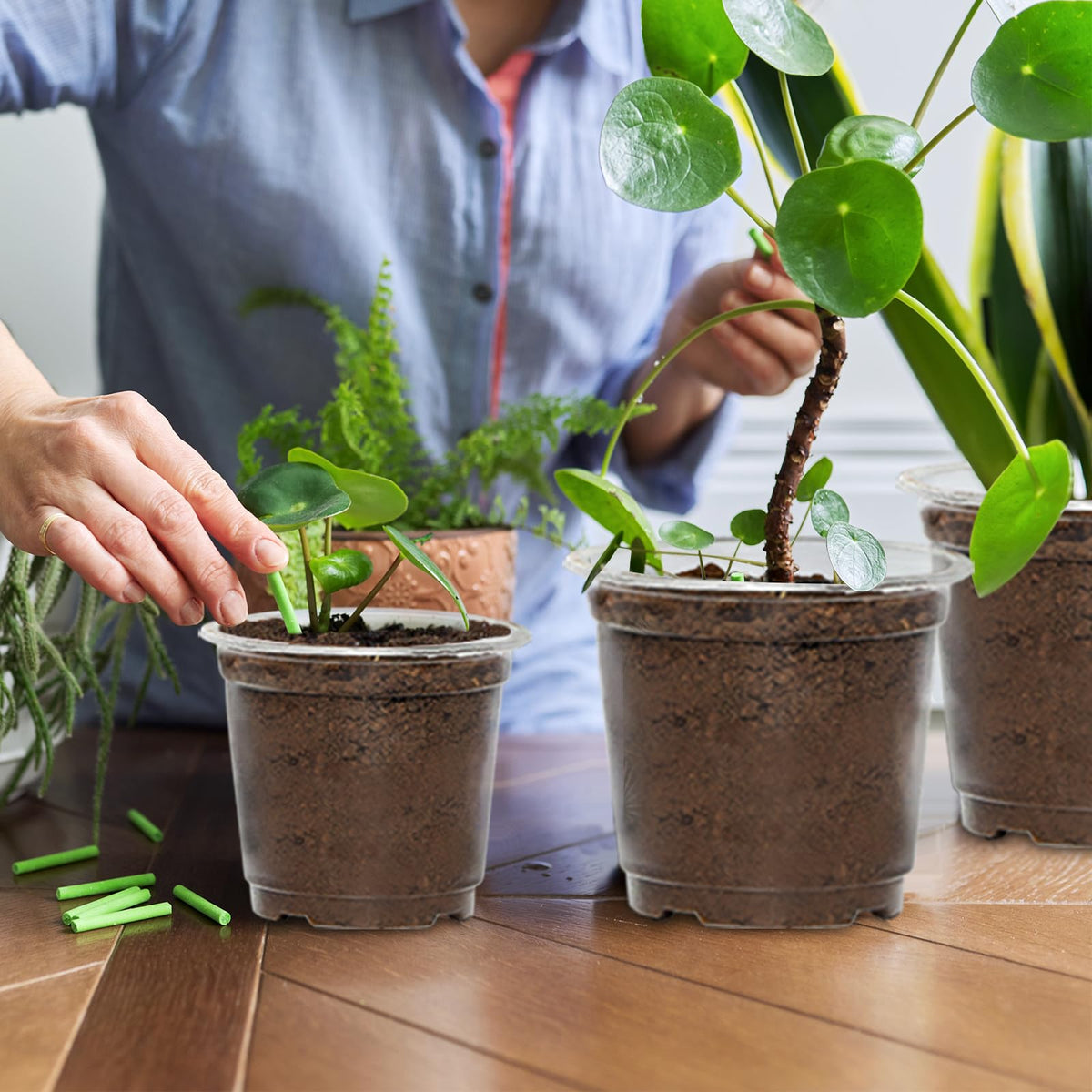 JERIA durable PP plant pot designed for long-term reuse.