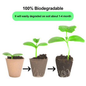 Eco-friendly packaging highlights sustainability of JERIA seed starter kit.