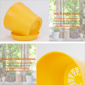 JERIA eight vibrant colors support decorative indoor or outdoor plant displays.