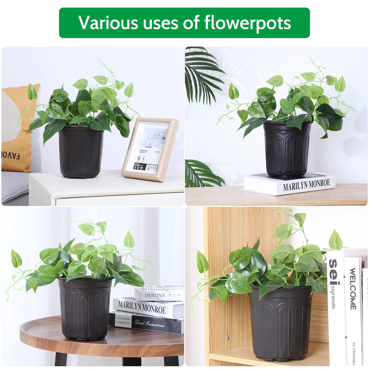 JERIA suitable for indoor and outdoor planting, from vegetables to ornamentals.