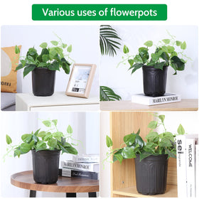 JERIA suitable for indoor and outdoor planting, from vegetables to ornamentals.