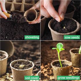 JERIA outdoor garden germination pack supports early-stage plant development.