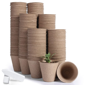JERIA peat pot seedling 3.15 inch, ideal for easy starter planting and root growth.