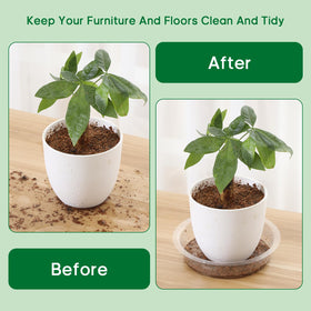 JERIA raised edge plant tray prevents overflow and soil mess.