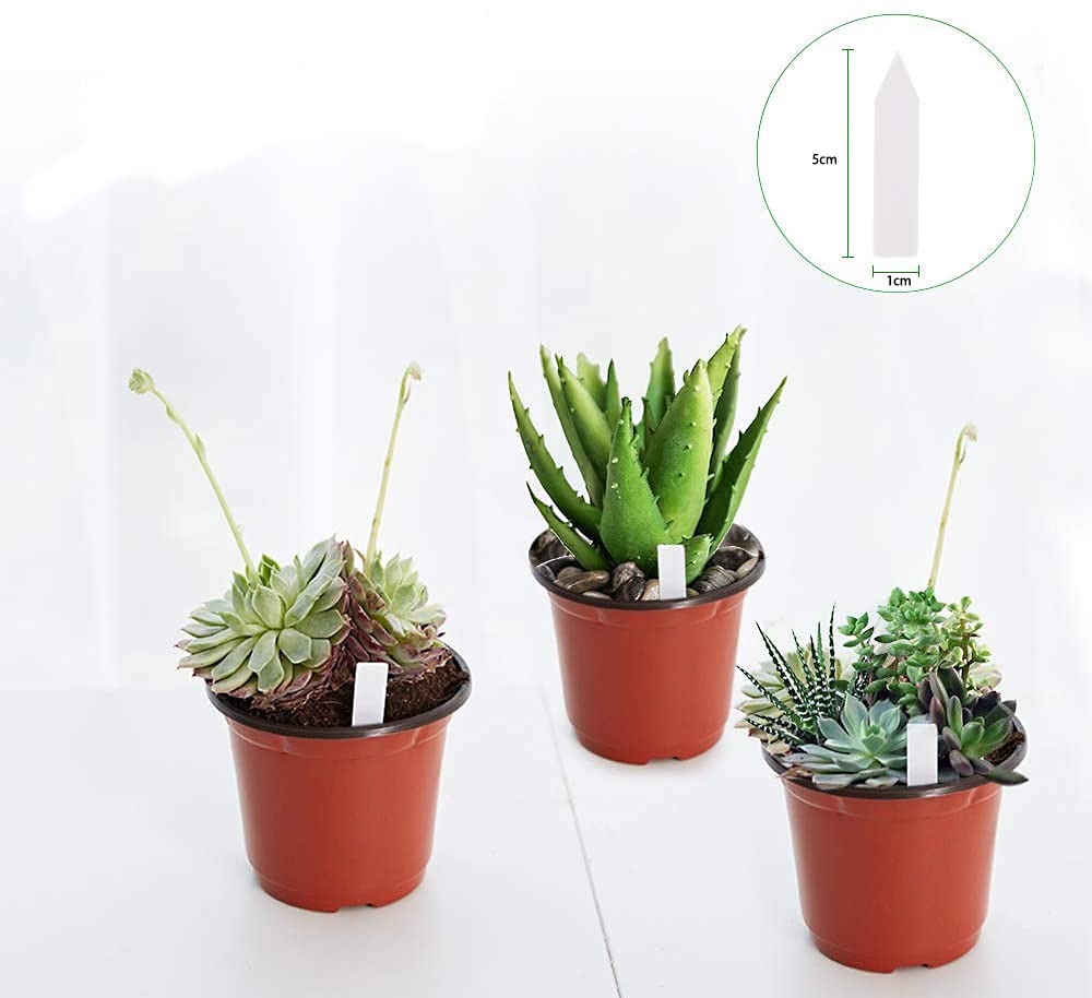 JERIA raised rim design enables easy handling and stackable storage.