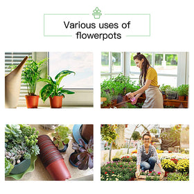 JERIA seed-starting pots for flowers and herbs, versatile planting starter.