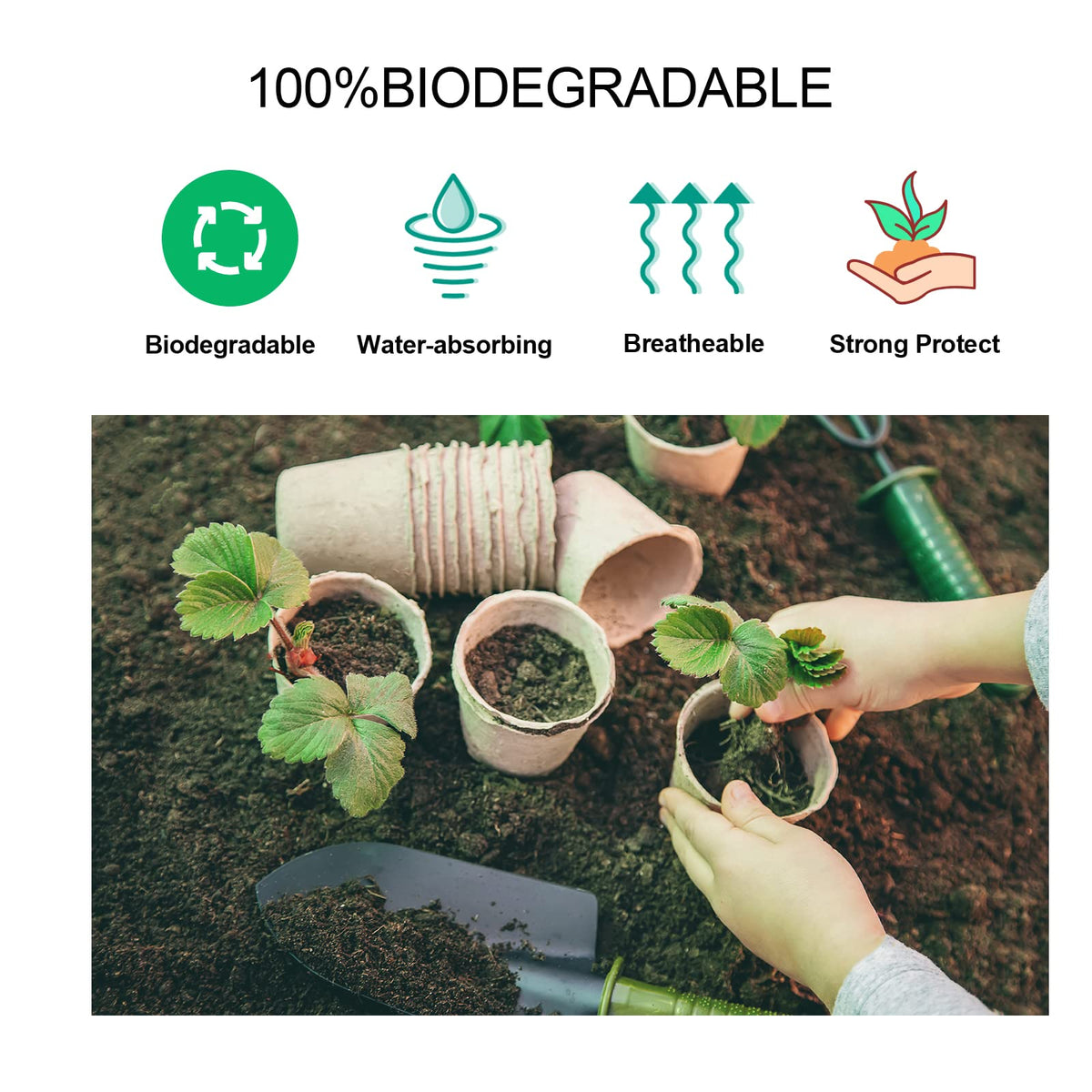 JERIA seedling pots with drainage holes promote proper drainage and root growth.