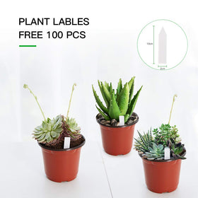 JERIA soft plastic seedling pots are lightweight and reusable.