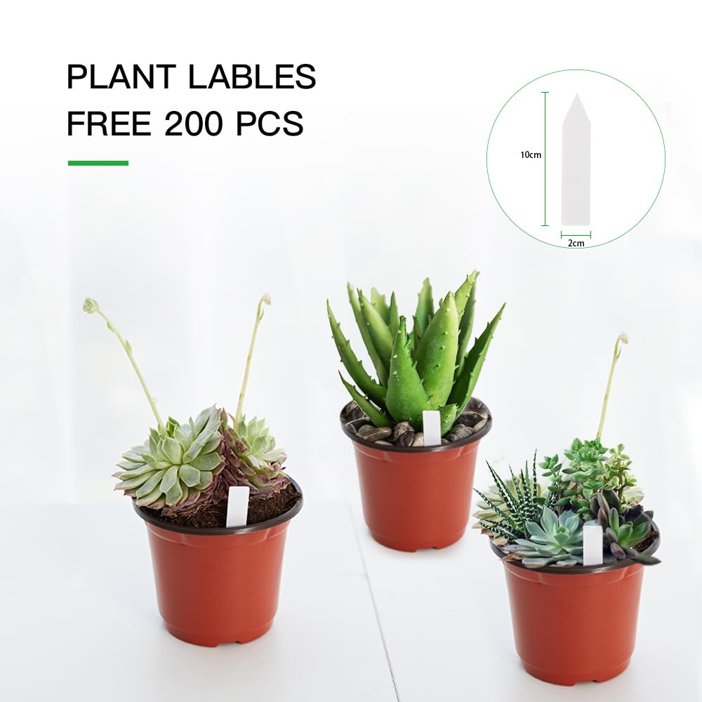 JERIA 6-inch plastic pots with raised rims for easy handling.