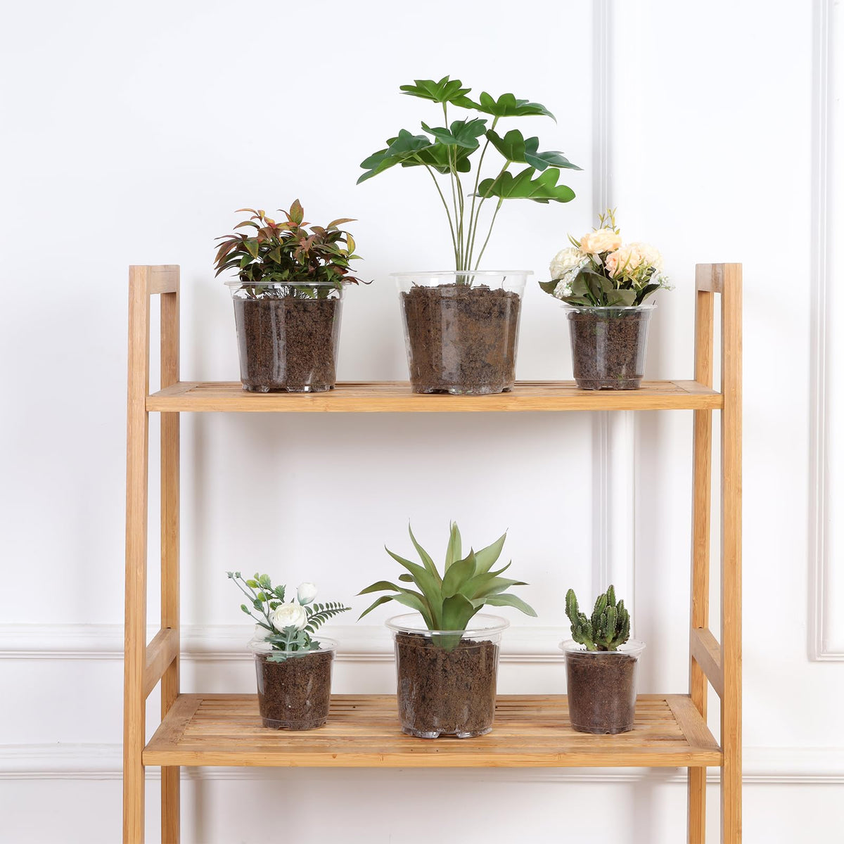 JERIA transparent plant pot for monitoring roots and growth progress.