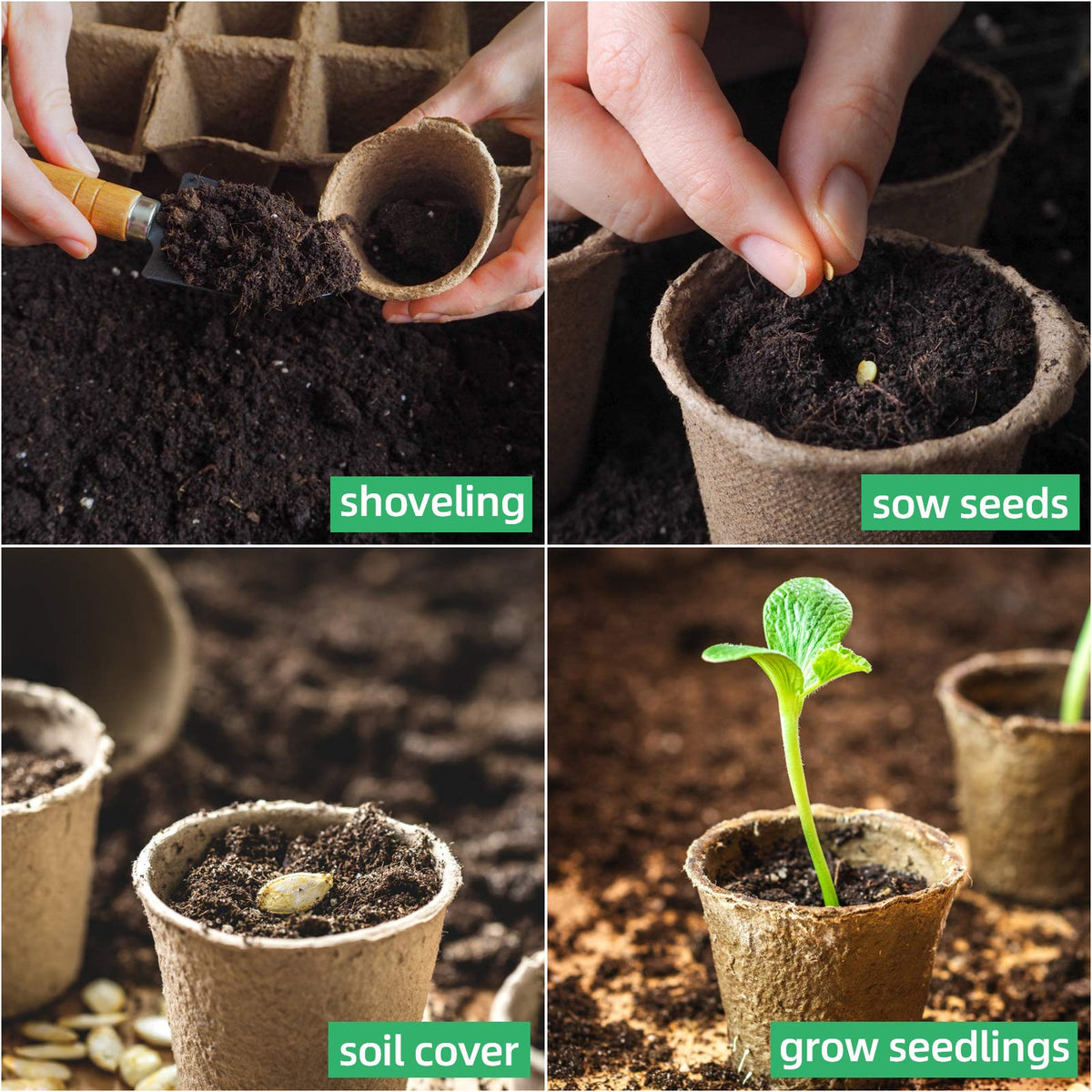 JERIA seed starter pots biodegrade after planting, reducing transplant shock and plastic waste.