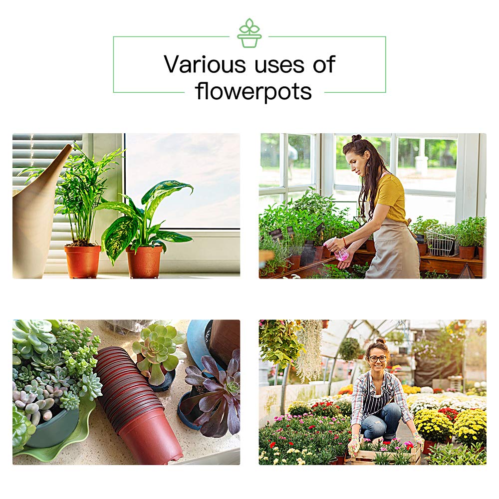 JERIA variety-plants-growing suitable for herbs, succulents, and blooms.