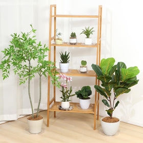 JERIA weather-resistant plant saucer keeps your pot area neat.