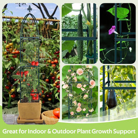 Jesosia lightweight 3-pound trellis is portable for rearranging space