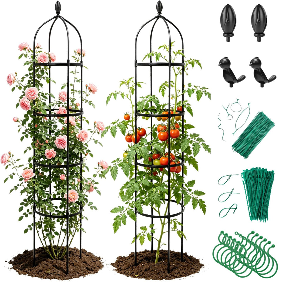 Jesosia obelisk trellis stands 74 inches tall to support climbing roses and vines.