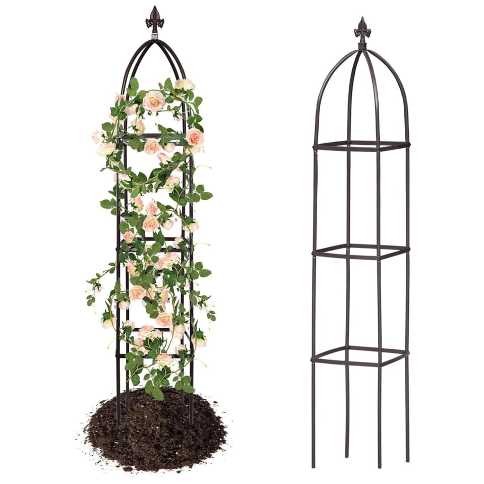Jesosia obelisk trellis outdoors supports climbing plants with sturdy metal construction