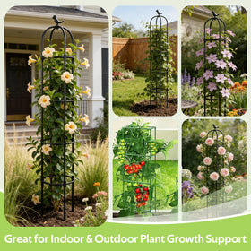 Jesosia plastic-coated steel trellis keeps stems protected while guiding growth.