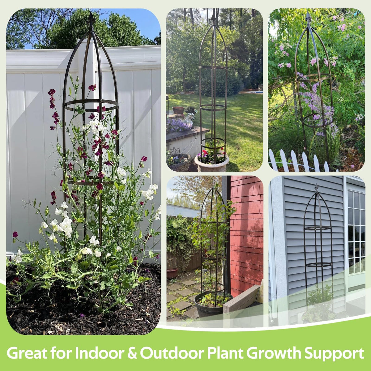 Jesosia obelisk supports roses, clematis, beans for upright growth.