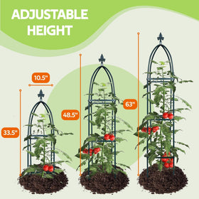 Jesosia rust-proof trellis resists weather, ideal for year-round climbing vines