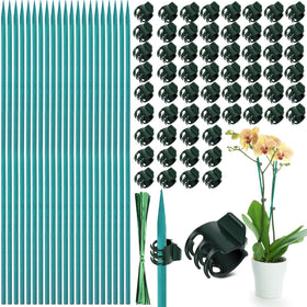 Jetec bamboo plant stakes kit supports upright growth for potted plants.