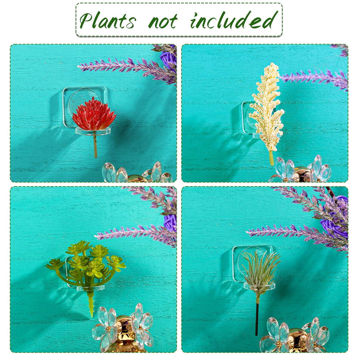 Jetec hollow design promotes airflow for healthy air plants in home or office.