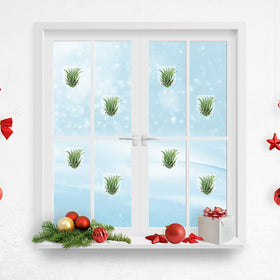 Jetec glass-display idea for stylish offices, windows, and shelves.