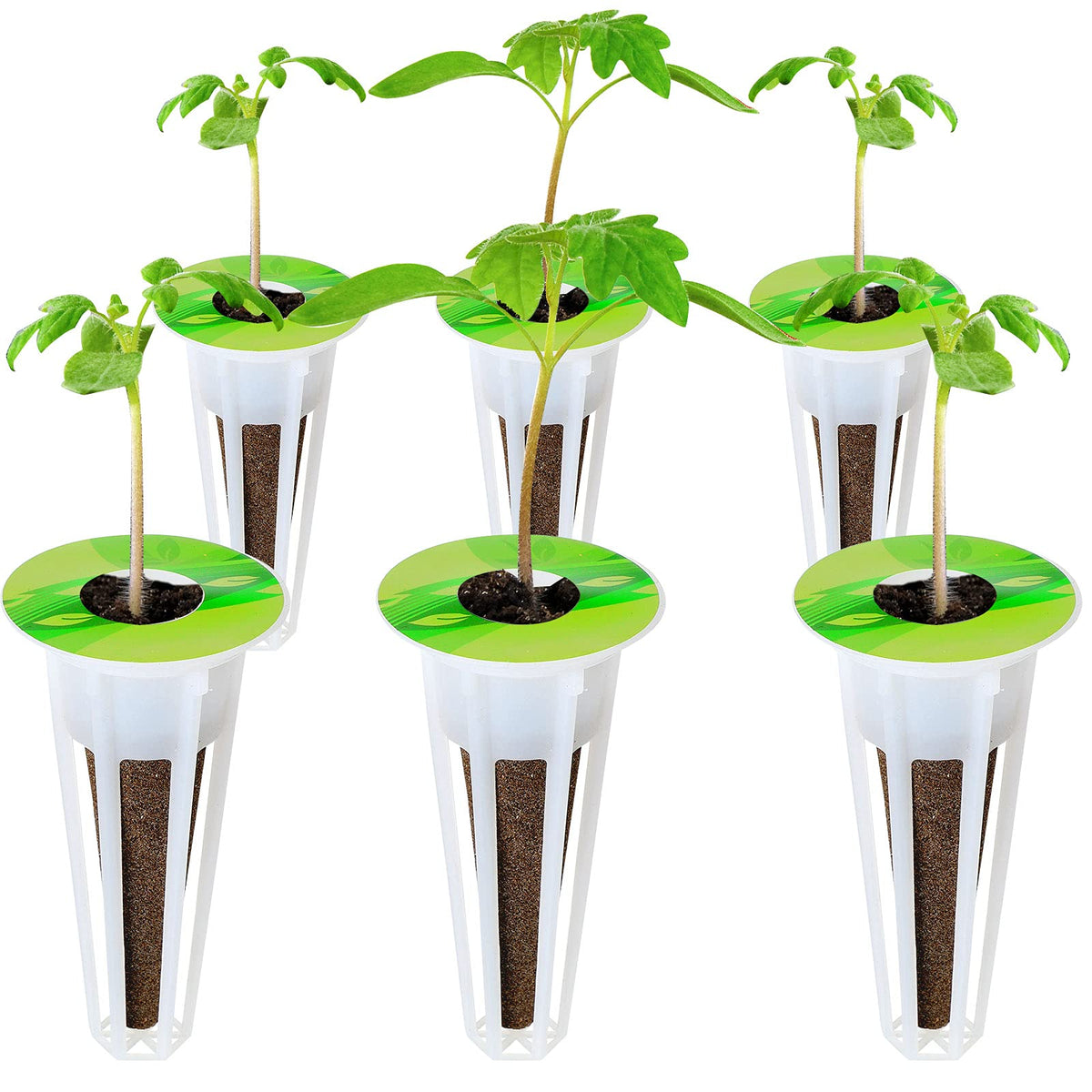 Jetec large writeable labels help you note plant details.