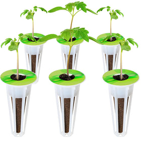 Jetec large writeable labels help you note plant details.